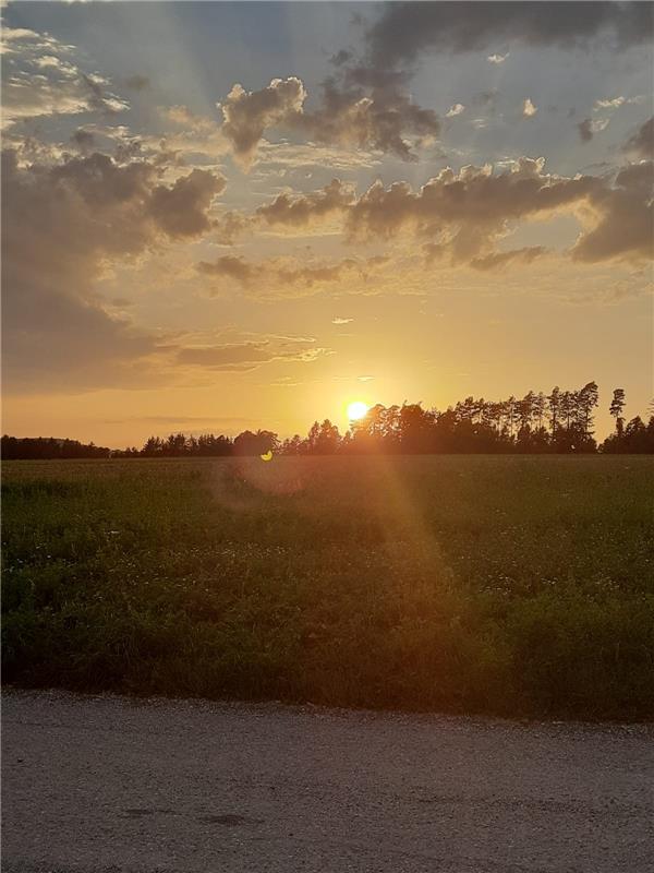 Sonnenuntergang. Von Erhard Fauß aus Mötzingen.