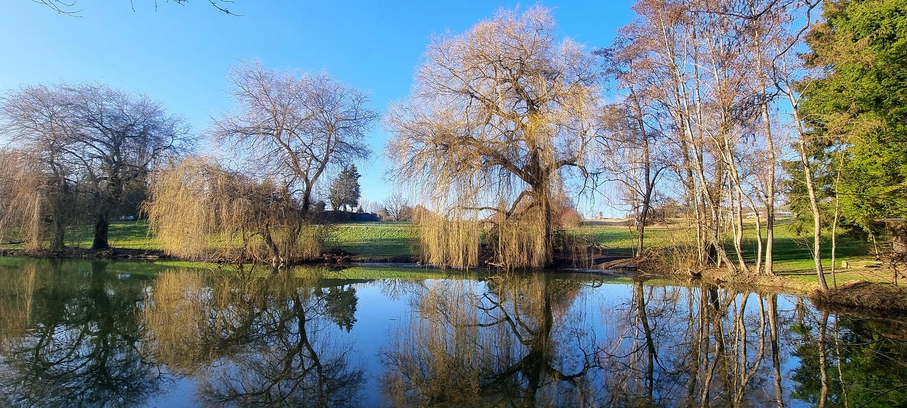 Sonniger Wochenendbeginn.  Von Janine Mornhinweg.