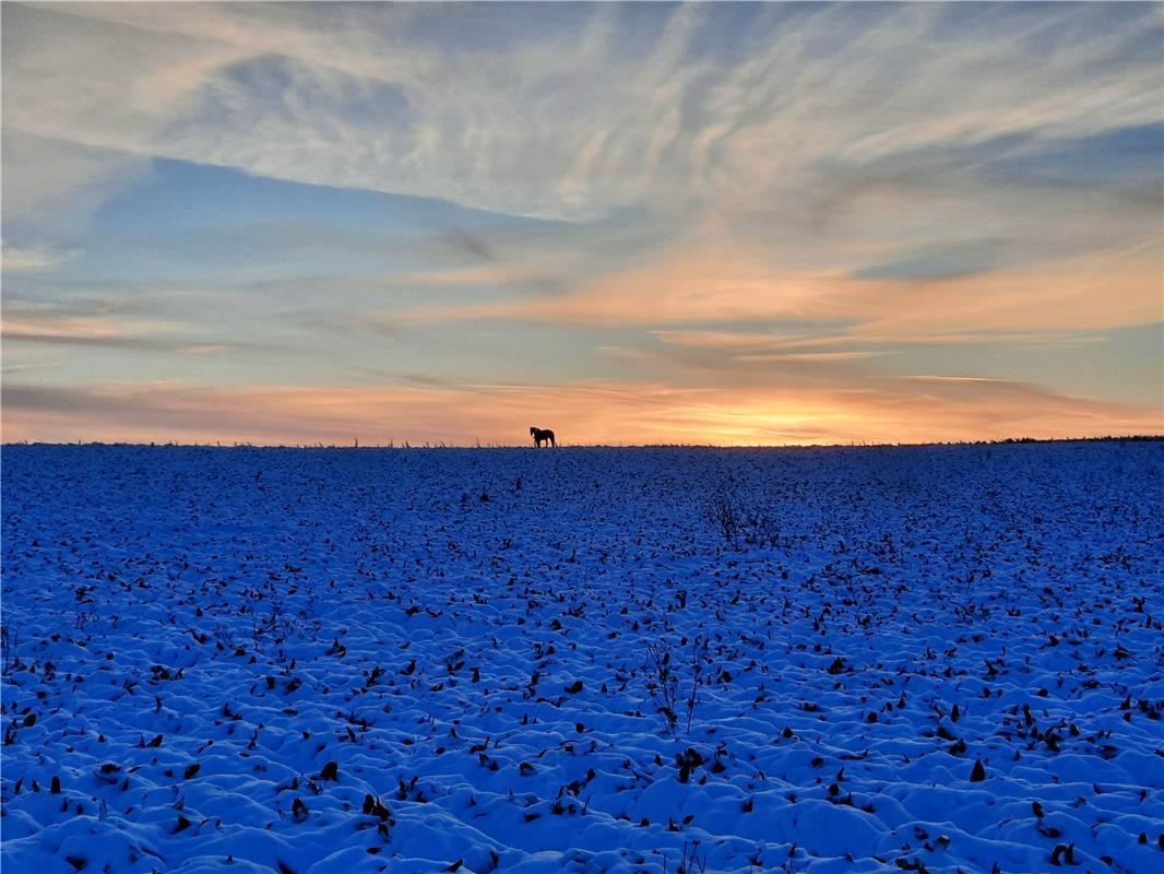 Spaziergang mit Pferd in herrlicher Schneelandschaft. Von Heiko Weiß aus Gäufeld...