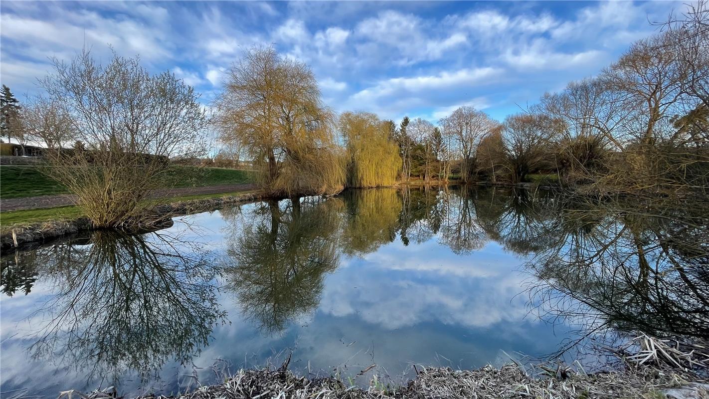 Spiegelung im Eisweiher bei Herrenberg. Von Christiane Kirr aus Gäufelden.