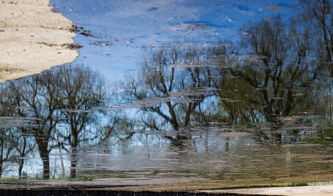 Spiegelung im Wasser oder ein Gemälde? Von Natalie Politz.
