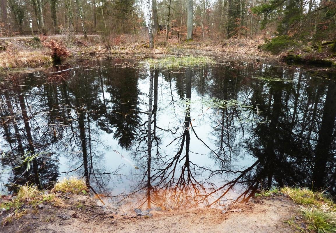 Spiegelungen. Von Josef Csecselics aus Herrenberg.