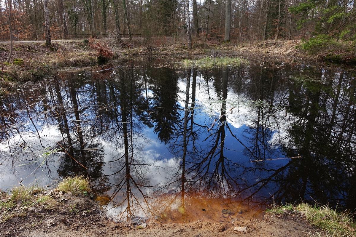 Spiegelungen. Von Josef Csecselics aus Herrenberg.