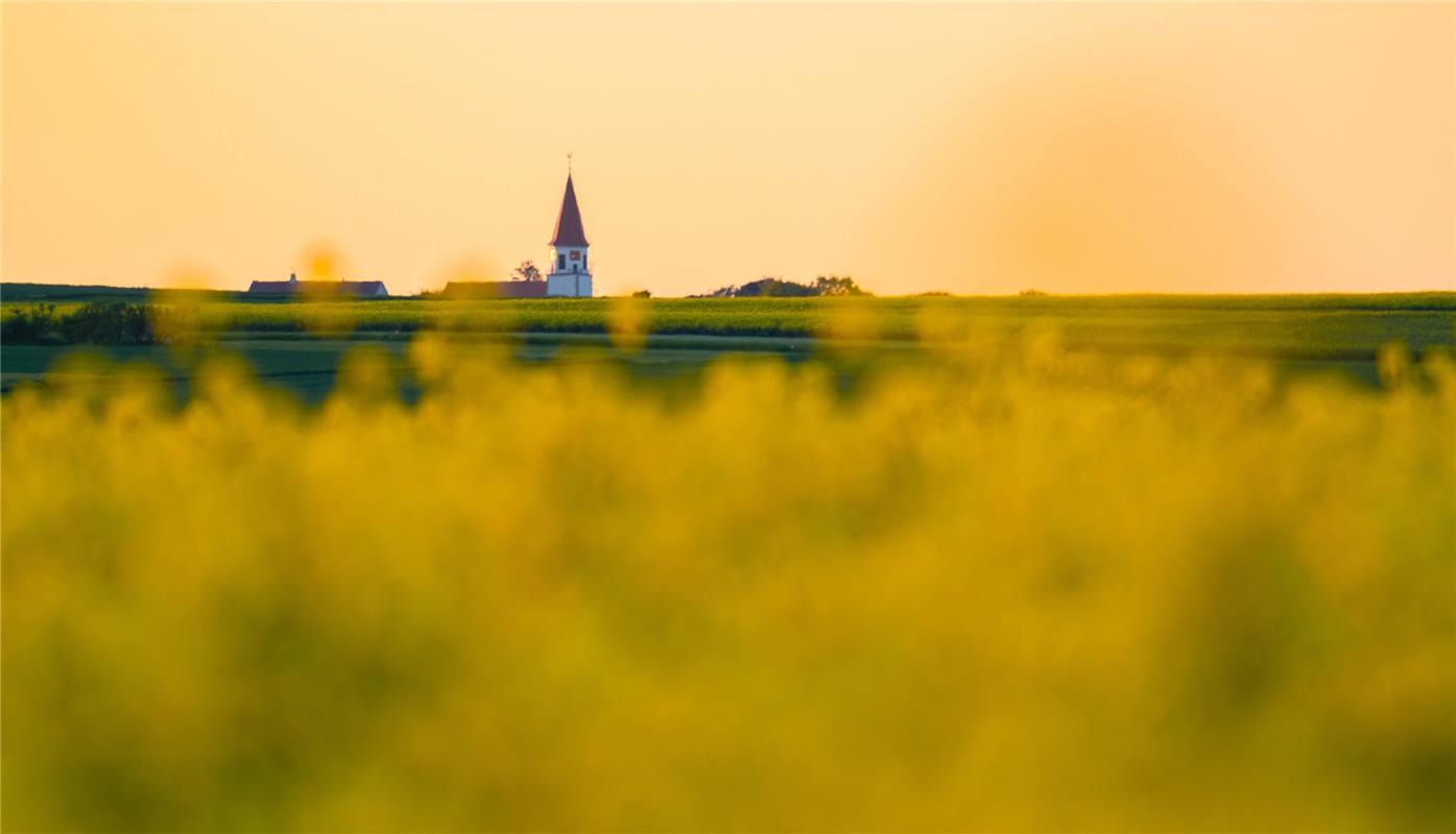 St. Nikolauskirche Deckenpfronn im güldnen Meer.  Von Michael Suhm aus Oberjesin...