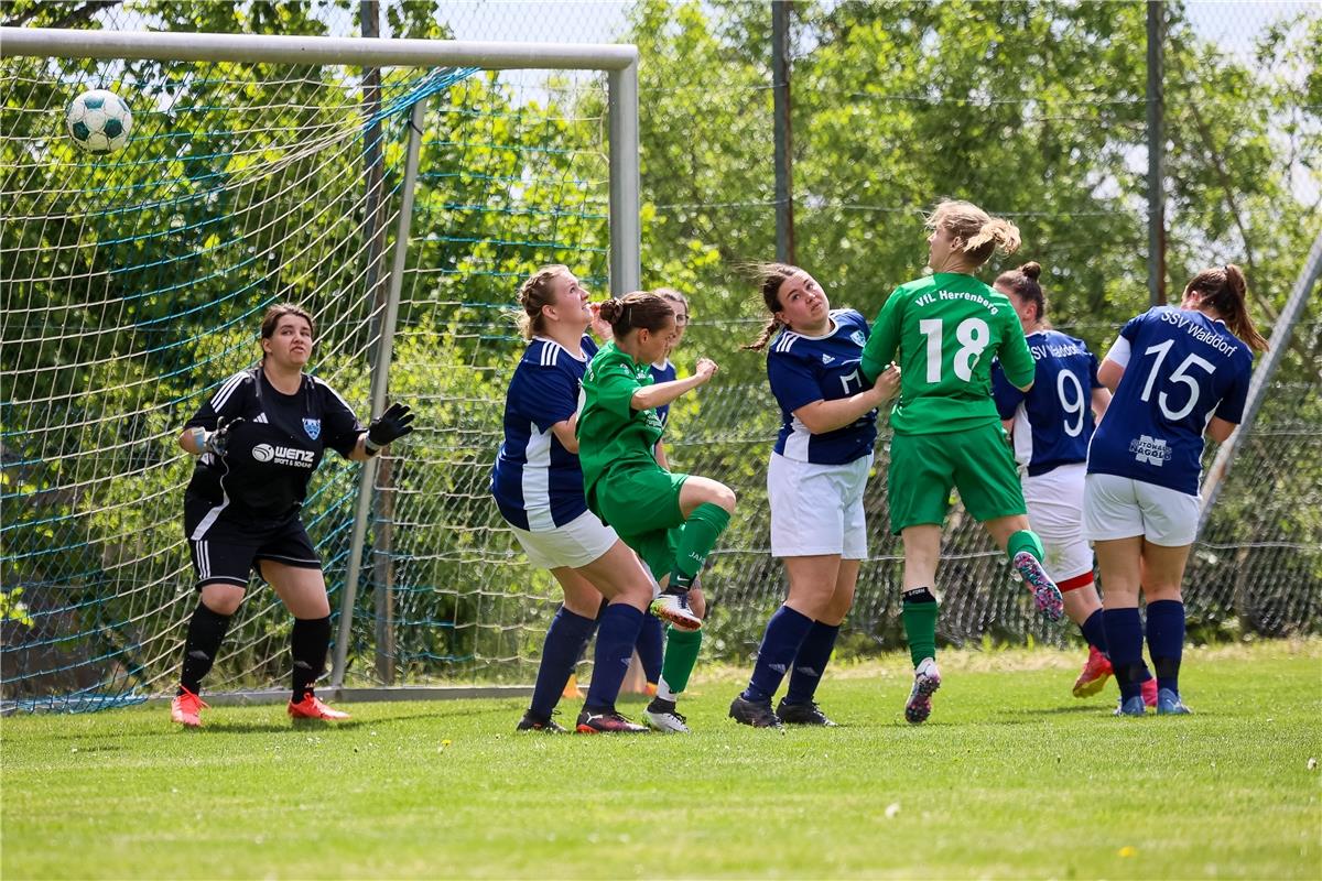 Stefanie Klein (VfL Herrenberg II #18)  SSV Walddorf vs. VFL Herrenberg II, Frau...