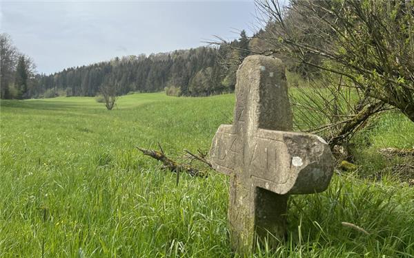 Stehen hier einmal Windräder? Im Wildberger Stadtteil Sulz am Eck sind nicht alle Bürger mit den Windkraftplänen auf ihrer Markung einverstanden. GB-Foto: Priestersbach