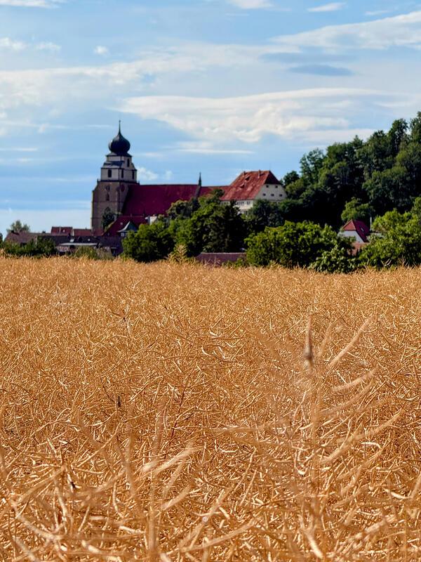 Stiftskirche.  Von Matthias Mornhinweg aus Ehningen.