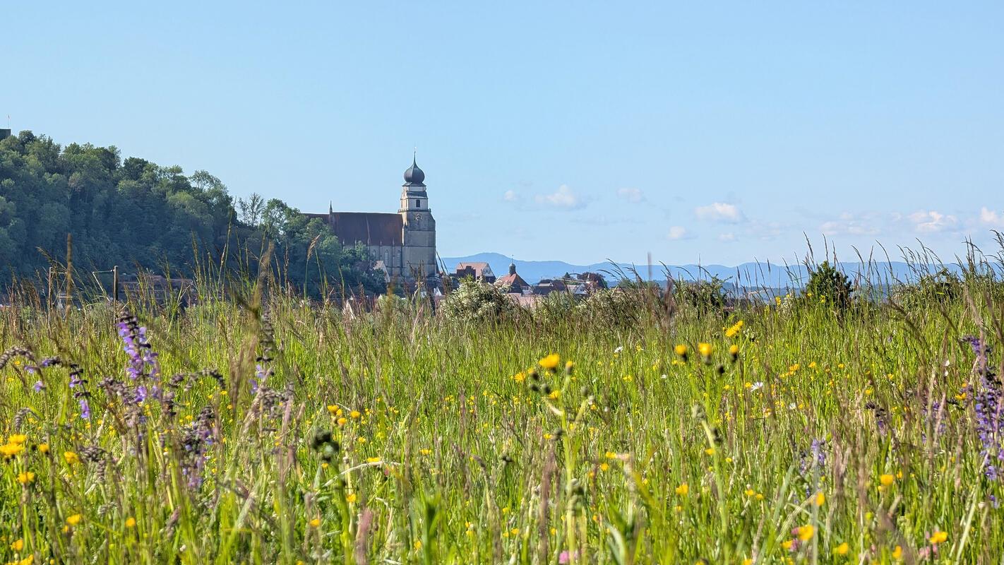Stiftskirche im Grünen.  Von Roland Marquardt aus Nufringen.