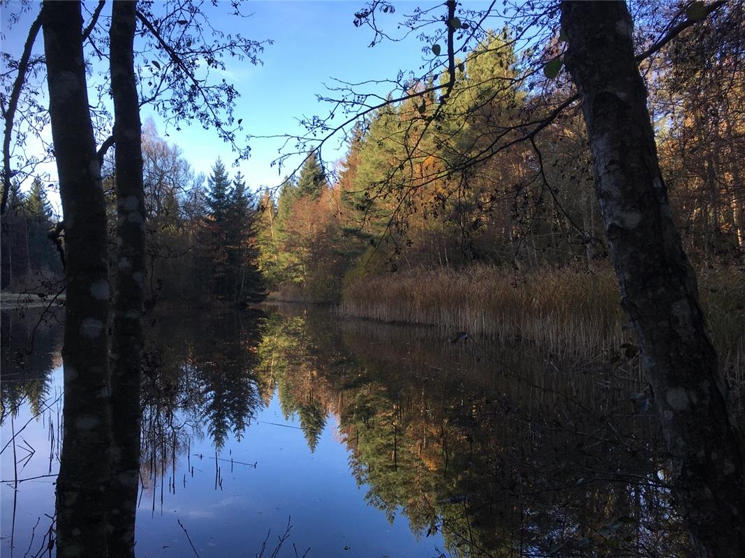 Still ruht der See - Kohlweiher in Hildrizhausen. Der Gärtringer Helmut Gengenba...