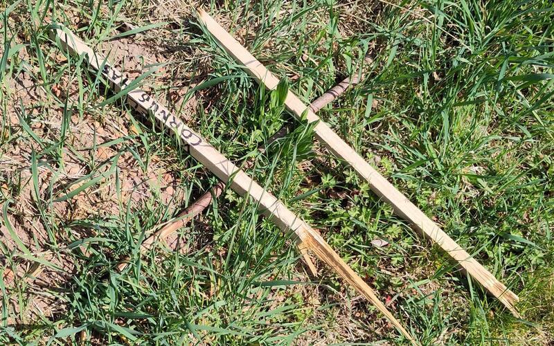 Sträucher wurden ausgegraben, Totholzhaufen auseinandergenommen und Schilder umgeworfen und kaputtgemacht. Der Ärger ist groß bei den Ehrenamtlichen des „Hortus Herrenbergensis“. GB-Foto: Priotto