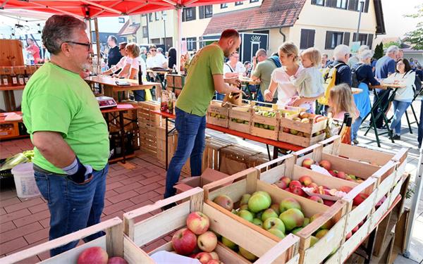 Streuobst: Es steht natürlich – wie hier in Mönchberg – ganz Im Mittelpunkt.GB-Fotos: Holom