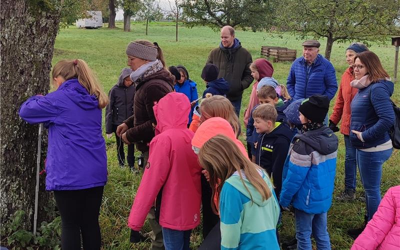 Streuobst auf dem Stundenplan der 3. Klassen der Bondorfer Schule
