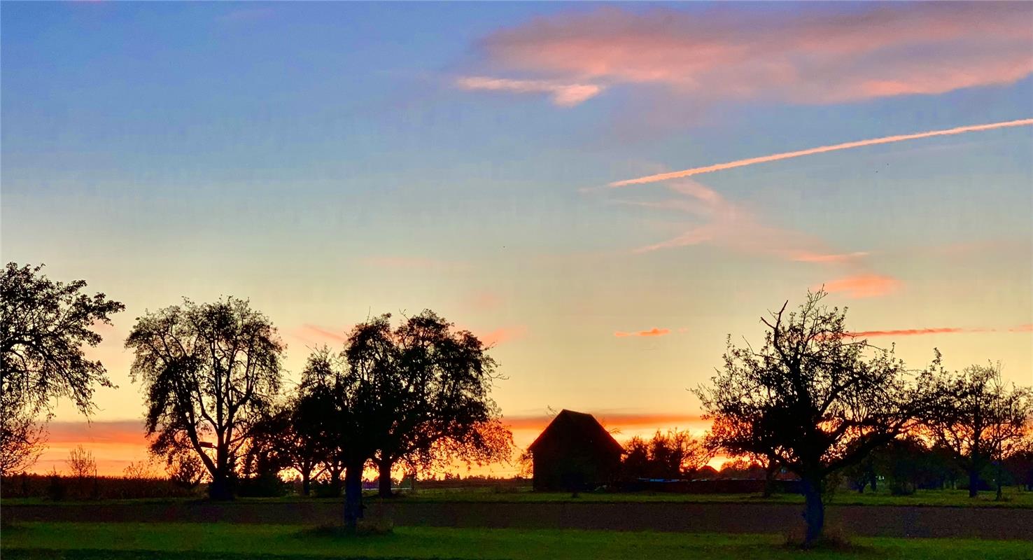 Streuobstwiese bei Sonnenuntergang in Gäufelden, abgelichtet von Minja Rollinson