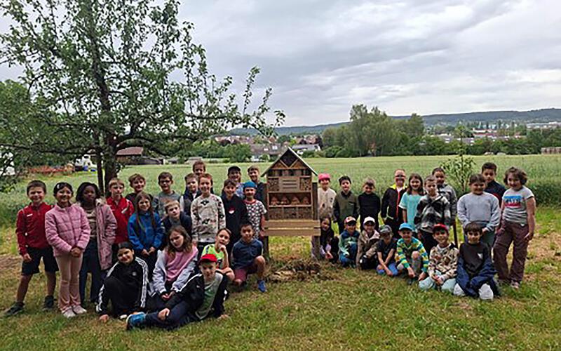 Streuobstwiesenprojekt von Gültsteiner Grundschülern