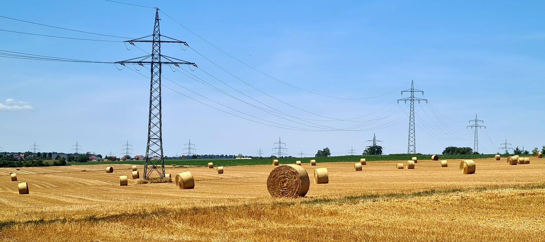 Stroh Strom. Von Frank Notter aus Nufringen.