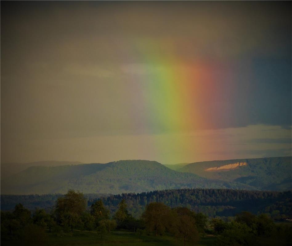 Sylvia Iser meint: "So ein dicker Regenbogenstumpf will uns was sagen: Vielleich...