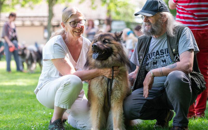 Sylvia und Uwe Gaugel aus Tailfingen sind mit Jakko bei der Eurasier-Zuchtschau auch dabei. GB-Foto: Vecsey