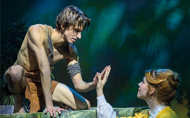 „Gäubote“-Adventskalender: Mit Tarzan in
den Dschungel Tarzan, der Dschungelheld, kommt auf die Musical-Bühne.GB-Foto: gb