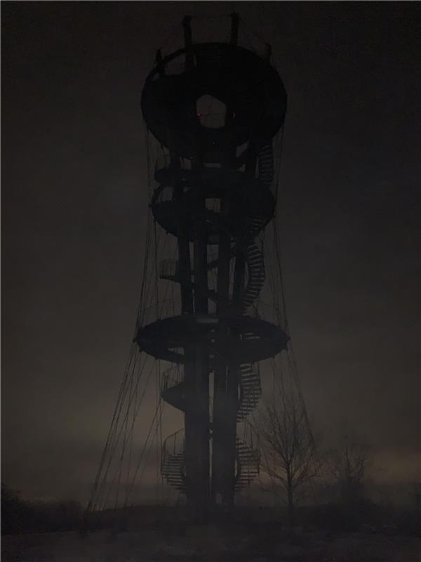 "The Fog" auf dem Schönbuchturm: Elke Hamm aus Nufringen hat diese Aufnahme trot...