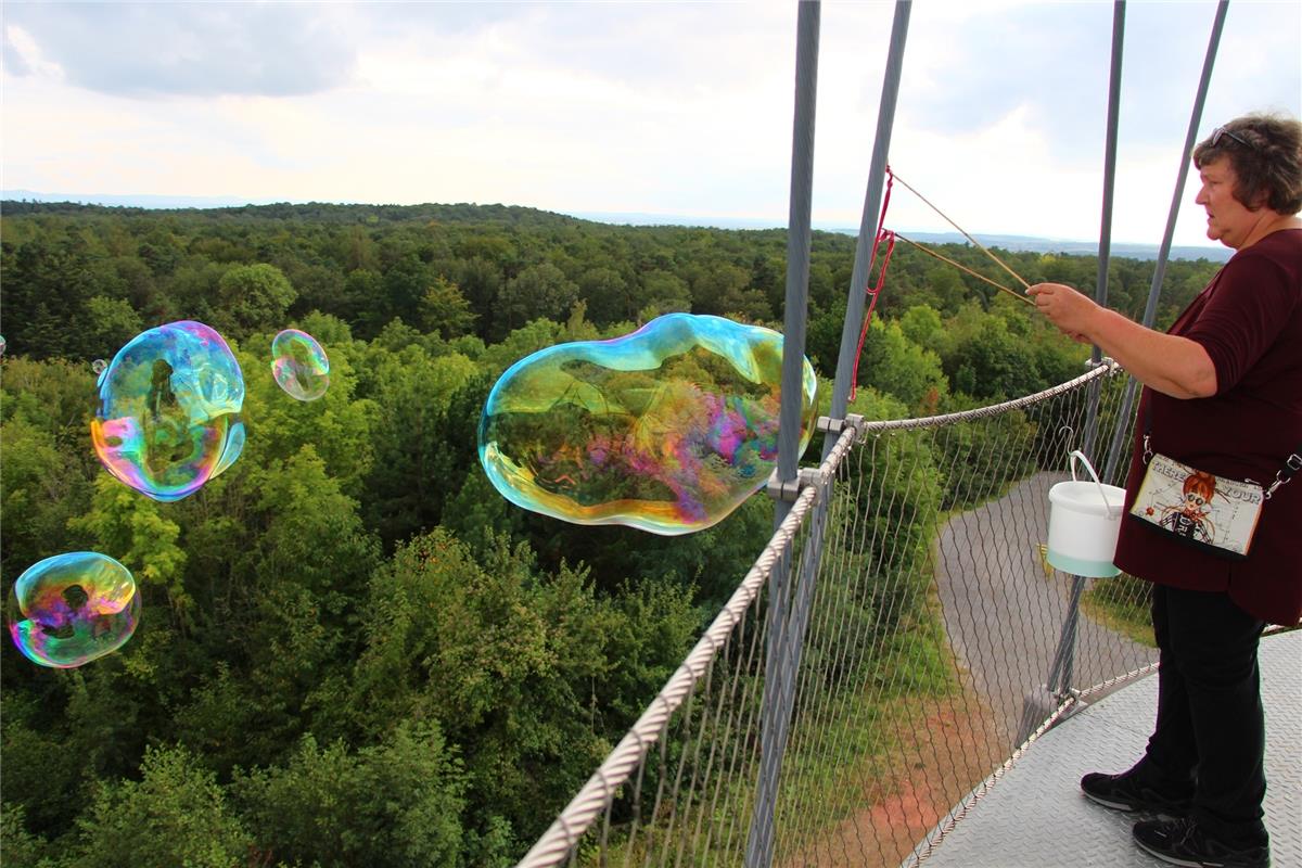 Theo Gärtner aus Sulz am Eck war auf dem Herrenbergwe Schönbuchturm und stellt f...