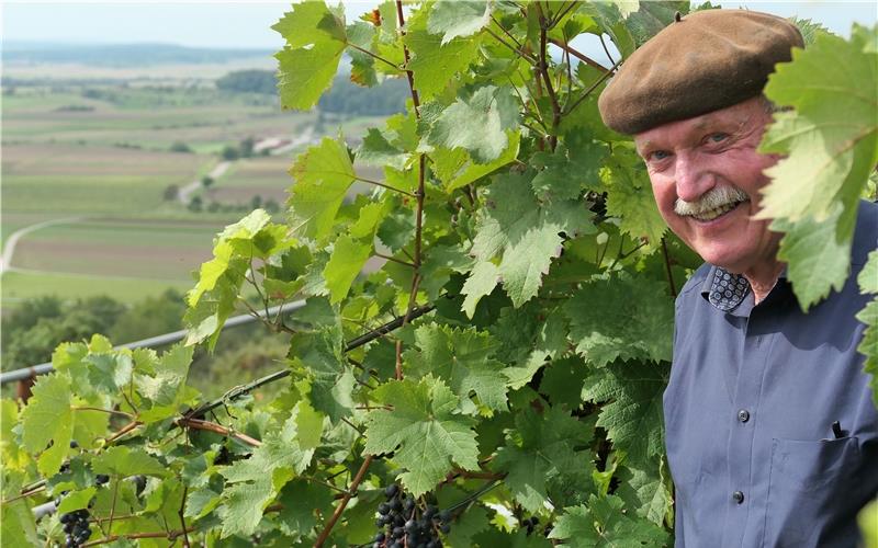 Thomas Speer steht erwartungsvoll zwischen seinen Weinreben in Breitenholz. GB-Foto: Gokeler