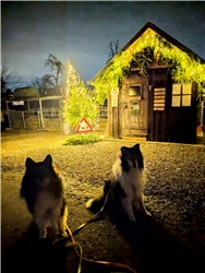 Thori und Aki warten aufs Christkind am Ränchlädle in Affstätt. Von Eva Althoff-Nüßle aus Herrenberg.