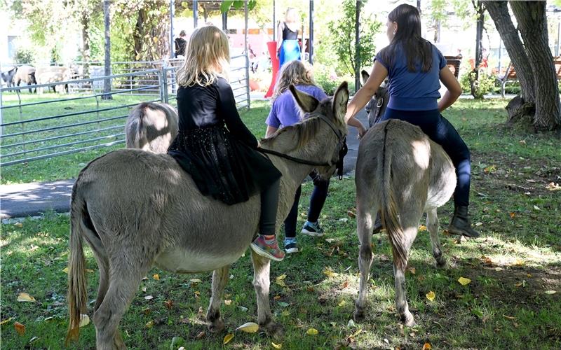 Tierisch viel Spaß hatten die kleinen Besucher des Jubiläumsfests. GB-Foto: Holom