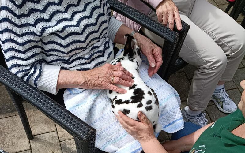 Tierischer Besuch erfreut Bewohner im Kuppinger Stephanus-Stift
