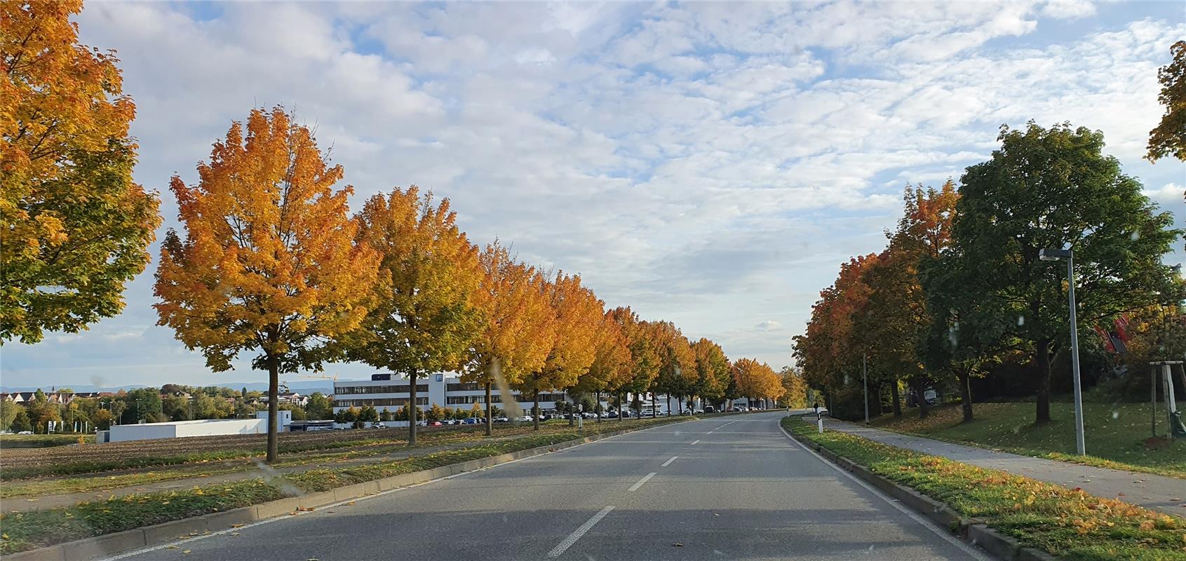 Tolle Herbstfarben auf der Allee zwischen Affstätt und Herrenberg hat Gabi Brenn...