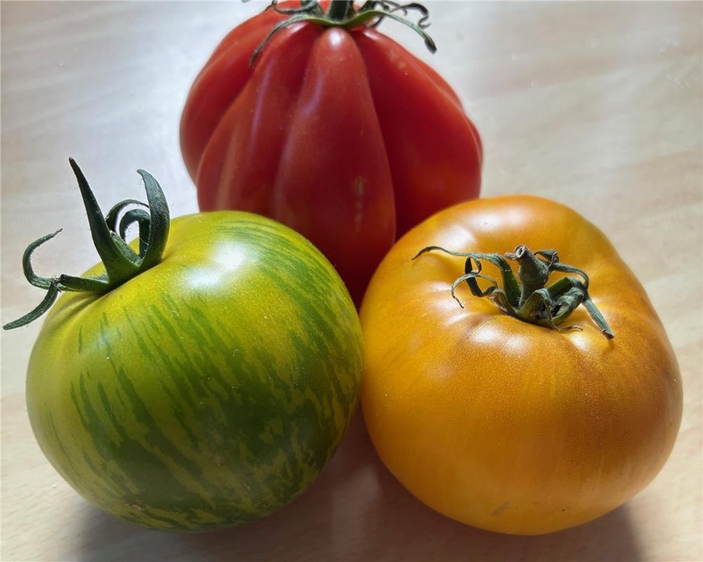 Tomaten aus dem Garten in Farbe und im Geschmack: Rote Tomaten – süß und fruchti...