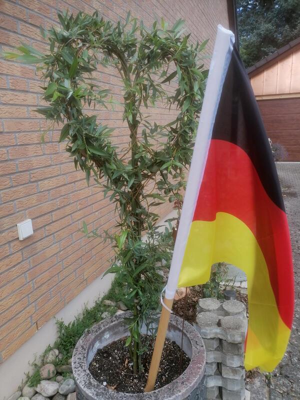 Trotz Flaute ... im Herzen bleibt man Fan.  Von Volker Ruff aus Jettingen.