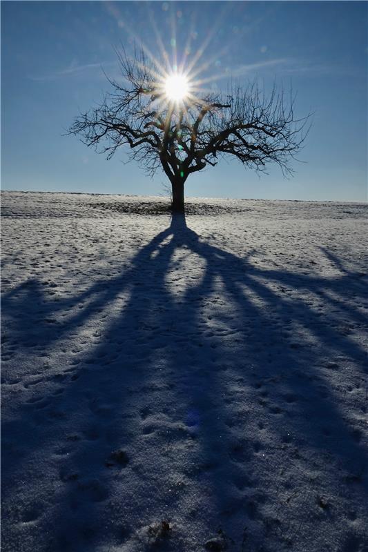 Trotz Kälte, die Sonne erwärmt einen doch noch. Von Eckbert Kaiser aus Hailfinge...