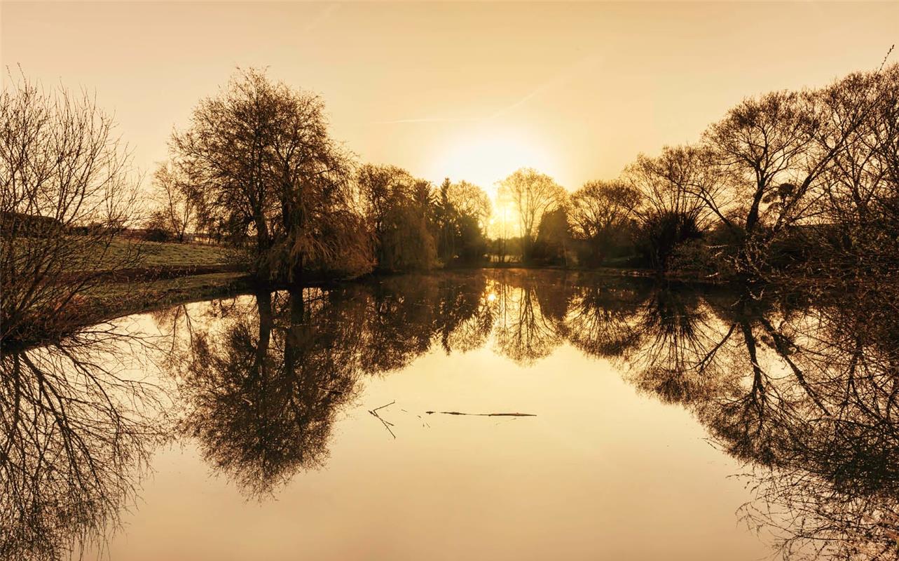 Trotz Saharastaub ein schöner Sonnenaufgang am Eisweiher in Herrenberg. Von Sonj...