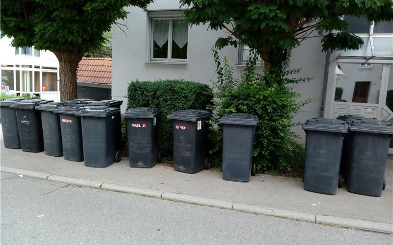 Über Grund- und Leerungsgebühr von Abfallbehältern diskutierte der Kreistags-Umwelt- und Verkehrsausschuss. GB-Foto (Archiv): gb