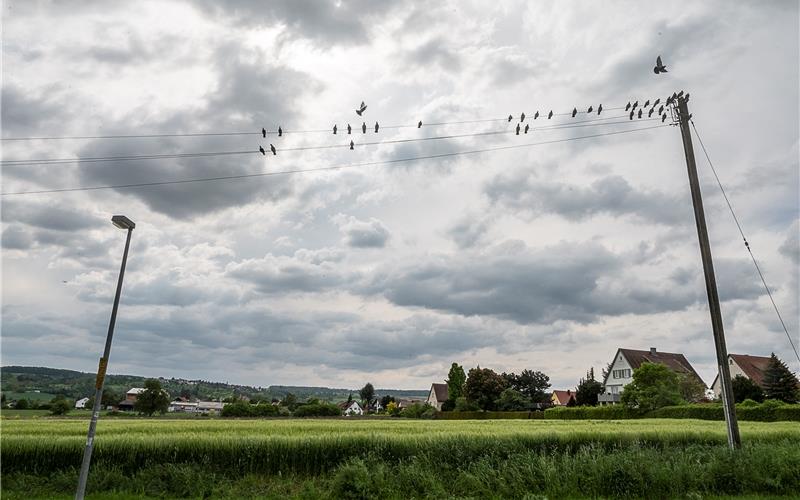 Über dem geplanten Wohnquartier Herrenberg-Süd zogen dunkle Wolken auf.GB-Foto: Schmidt