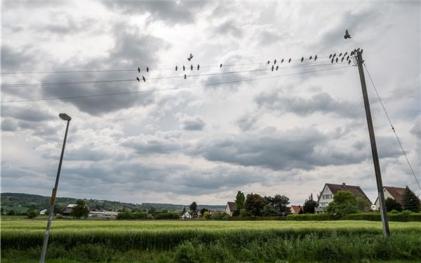 Über dem geplanten Wohnquartier Herrenberg-Süd zogen dunkle Wolken auf.GB-Foto: Schmidt