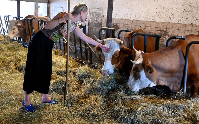 Umweltministerin Thekla Walker ist bei ihrem Besuch im Tennental in Deckenpfronn auf einem Rundgang durch den landwirtschaftlichen Bereich. Hier und da darf sie sogar selbst einmal Hand anlegen, zum Beispiel ist sie gefordert, mit der Heugabel im Kuhstall mitanzupacken.GB-Foto: Holom