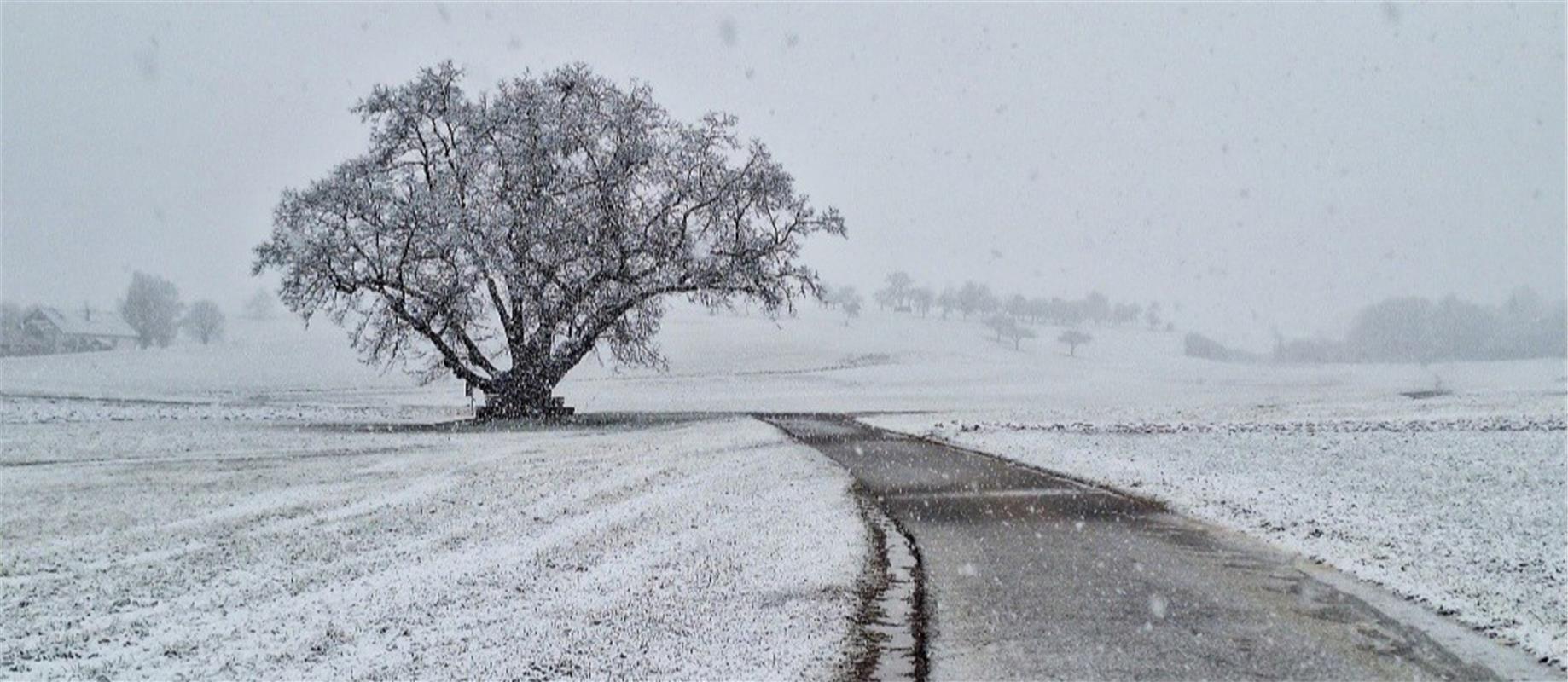 Und wieder Schnee ...  Von Natalie Politz aus Hildrizhausen.
