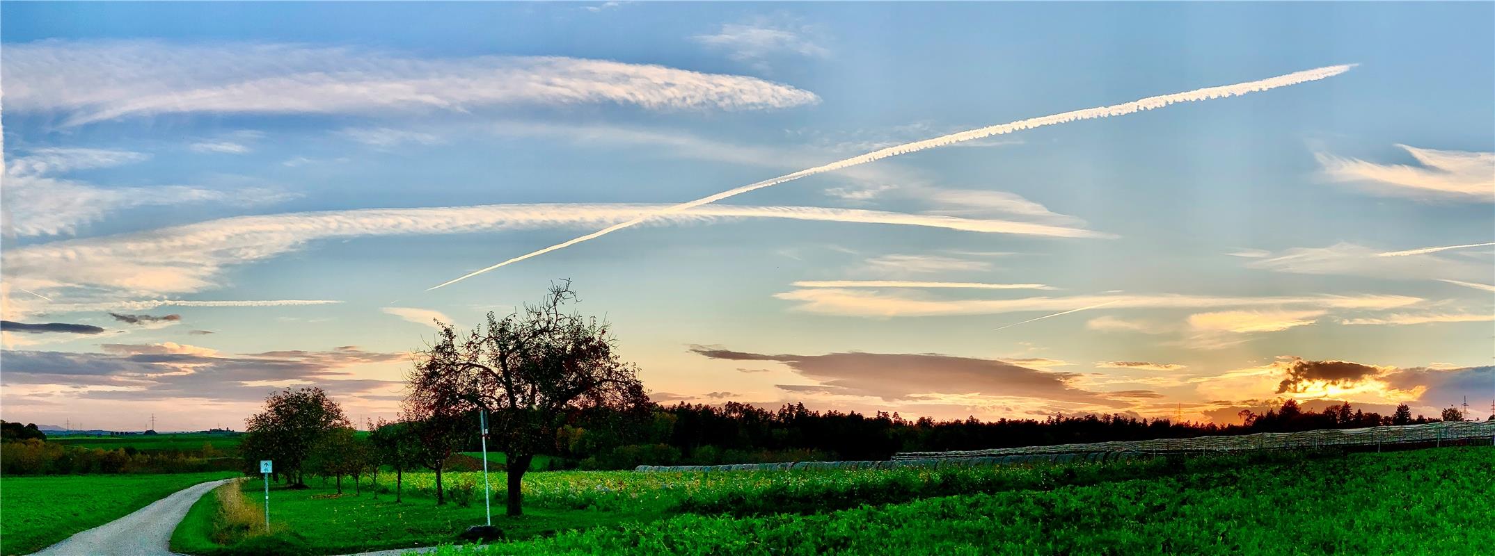 Unmittelbar nach dem Sonnenuntergang. Von Minja Rollinson aus Gäufelden.