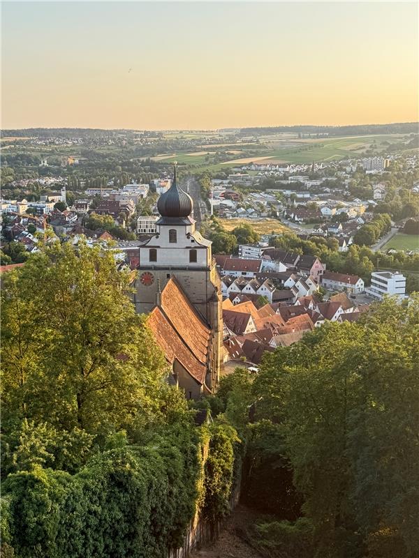 Unsere „Glucke vom Gäu“ im goldenen Abendsonnenschein.  Von Sabine Steinmann aus...