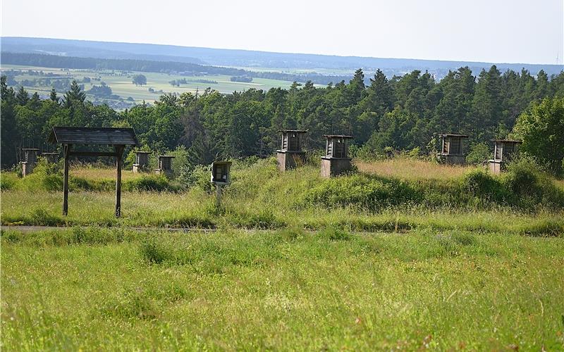 Unter jedem Hügel ein Bunker. Auf dem Gelände des ehemaligen Sulzer Munitionsdepots gibt es 56 solcher unterirdischen Bauwerke.