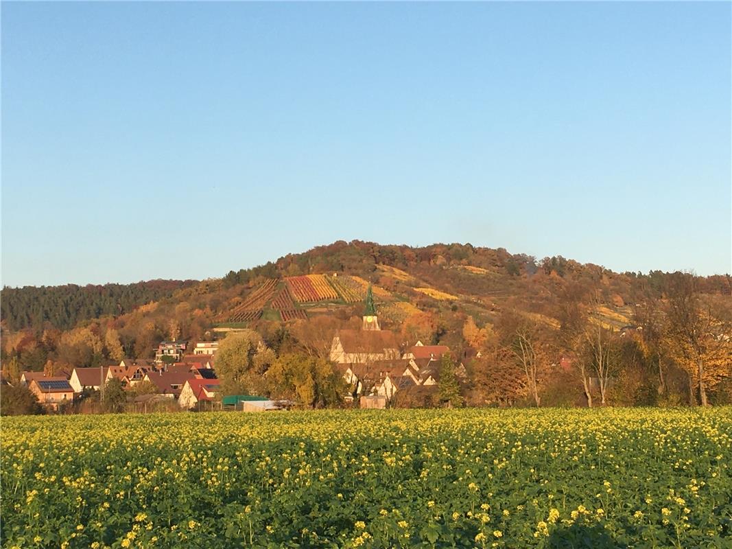 "Unterjesingen vor dem Schönbuch, da brauchst Du nicht zu verreisen", findet Ber...