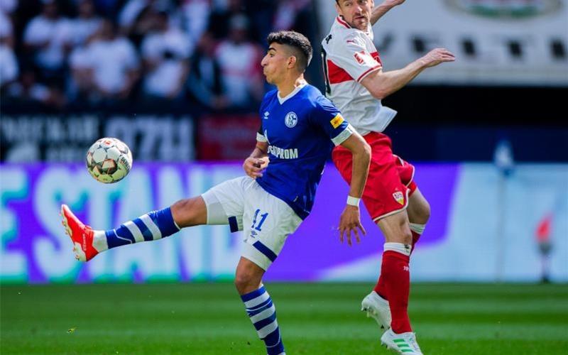 VfB-Kapitän Christian Gentner (r) kommt gegen Schalkes Nassim Boujellab zu spät. Foto: Rolf Vennenbernd