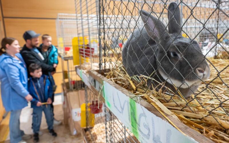 Viele Familien ließen es sich nicht entgehen, die Kreisschau in Kuppingen zu besuchen. GB-Foto: Vecsey