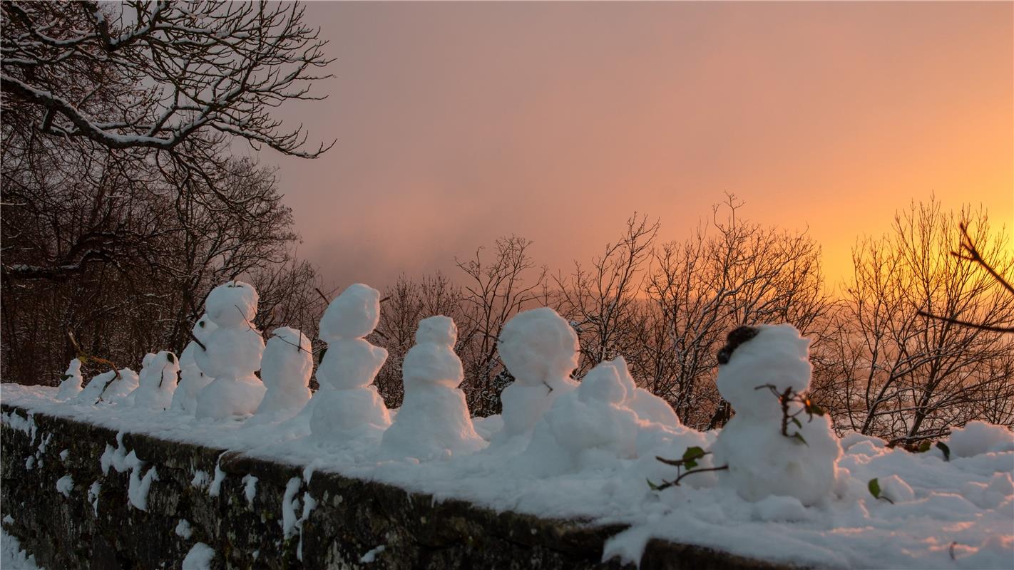 Viele Männer im Schnee hat Gabi Brenner auf dem Schlossberg in Herrenberg entdec...