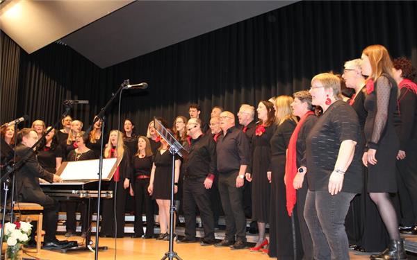 Vier Ensembles begeisterten das Publikum in der Mötzinger Gemeindehalle. GB-Foto: Baum