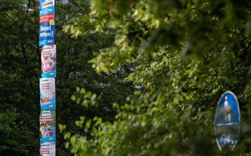 Voller Einsatz im AfD-Kernland: Wahlplakate der Rechtspopulisten an einem Laternenpfahl. Foto: Robert Michael