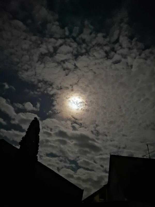„Vollmond – Sonne der Nacht“  Von Ursula Schmid aus Rohrau.