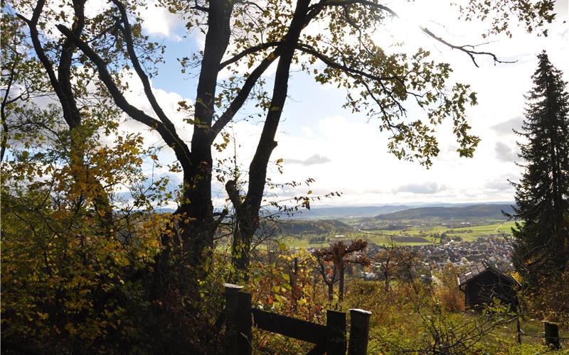 Vom Schönbuch-Trauf gibt es herrliche Ausblicke auf die Gäulandschaft.GB-Foto: Naturpark Schönbuch