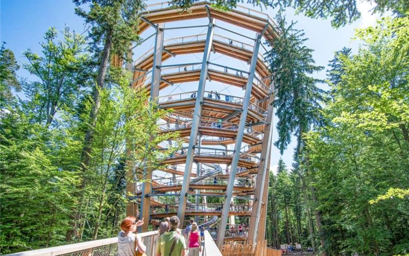 „Gäubote“-Familien-Tour: Waldriesen aus ungewöhnlicher Perspektive von oben